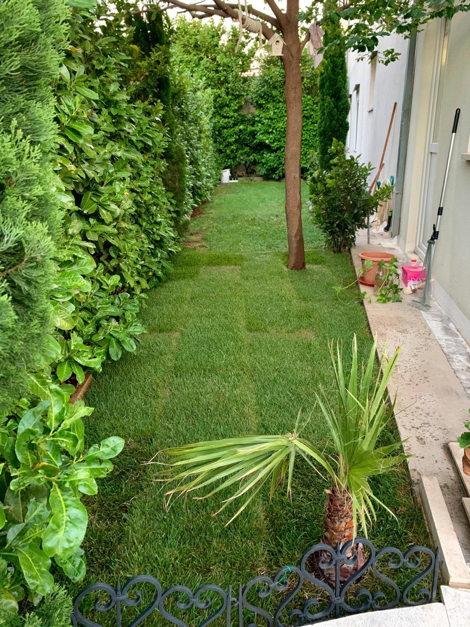 Apartman Filipovic Makarska Ngoại thất bức ảnh